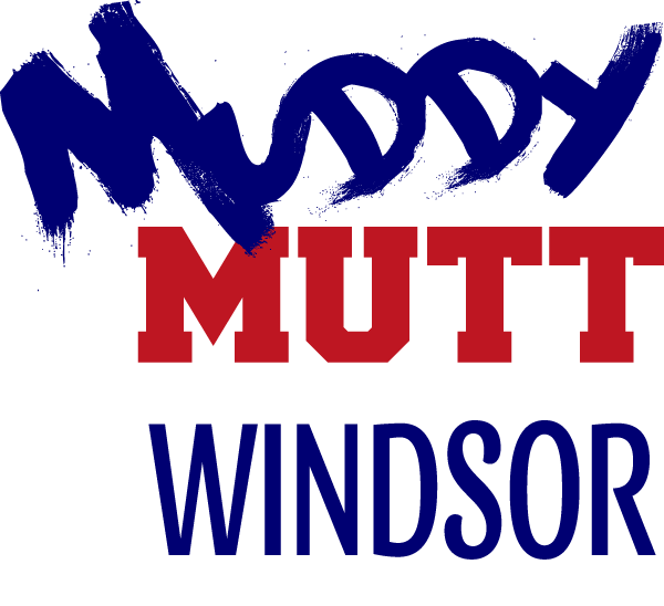 Windsor logo